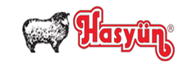 HASYÜN